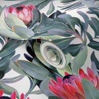 Painted Protea Pattern on White Background