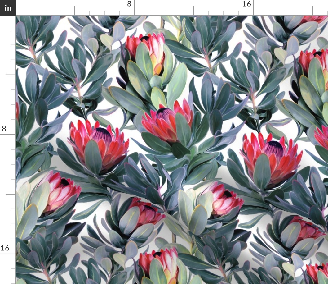 Painted Protea Pattern on White Background