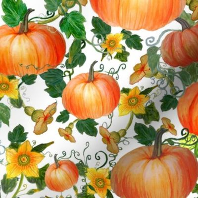 watercolor  pumpkins and pumpkin flowers