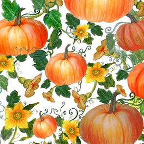 watercolor  pumpkins and pumpkin flowers
