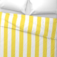 yellow stripes-wide