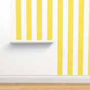 yellow stripes-wide