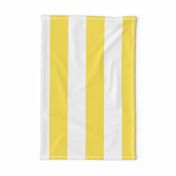 yellow stripes-wide