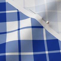 Imperial blue and white diagonal tartan