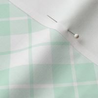 mint and white diagonal tartan