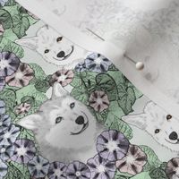 Small Floral Alaskan Klee Kai portraits C