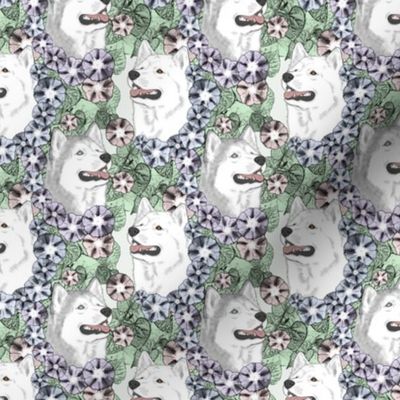 Small Floral Silver White Siberian Husky portraits