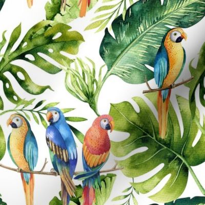 Tropical leaves  and parrots