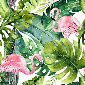 Tropical leaves  and flamingo7