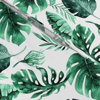 Watercolor tropic jungle seamless summer pattern background with tropical palm monstera leaves