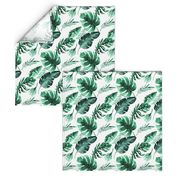 Watercolor tropic jungle seamless summer pattern background with tropical palm monstera leaves