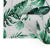 Watercolor tropic jungle seamless summer pattern background with tropical palm monstera leaves