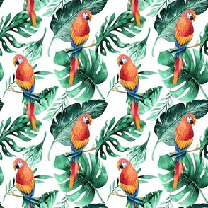 Tropical florals and parrots