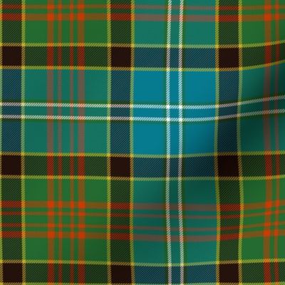 Paisley tartan - 6" ancient colors