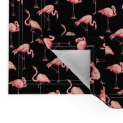 Flamingo - Black