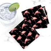 Flamingo - Black