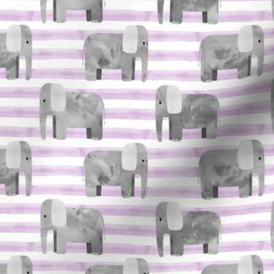 elephants - purple stripes