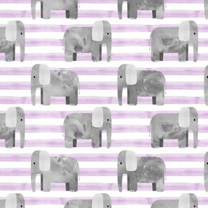 elephants - purple stripes