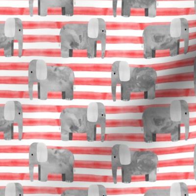 elephants - red stripes