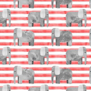 elephants - red stripes