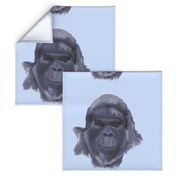 Gorilla on Blue for Pillow