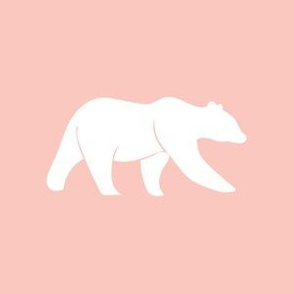 P- 6" bear on pink