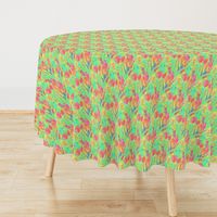 SPRINGTIME TULIP FIELD DIAGONAL GREEN CORAL