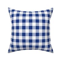 Willow Ware Blue and White Gingham with Savoy Blue ~ 1"