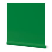 Solid Green (#00853f)