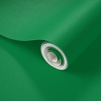 Solid Green (#00853f)