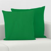 Solid Green (#00853f)