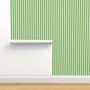 Green stripes on light green