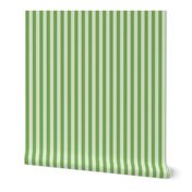 Green stripes on light green