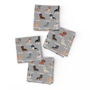 custom doxie fabric - grey