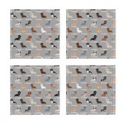 custom doxie fabric - grey