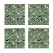 custom doxie fabric - green