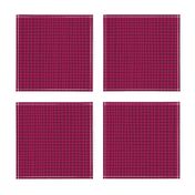 Raspberry Grid