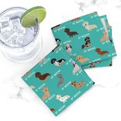 custom doxie fabric - turquoise