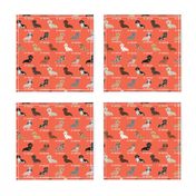 custom doxie fabric - orange