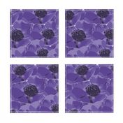 Purple Anemone Flower Design