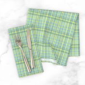  Dinner Party Green Plaid