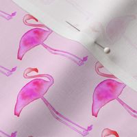 pink flamingo