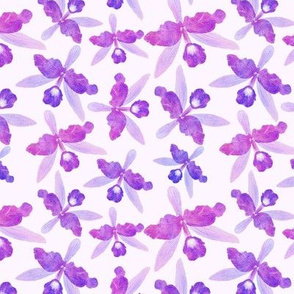 watercolor purple orchids