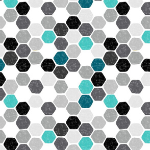 Hexagon4