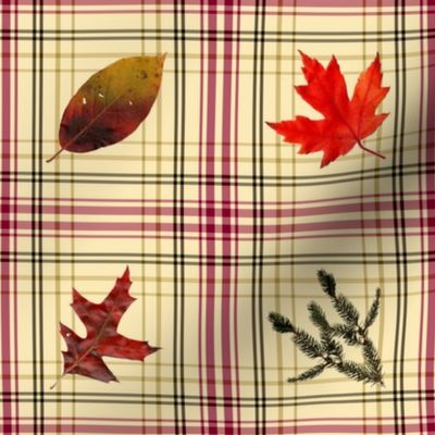 rustic_autumn_plaid_8x8