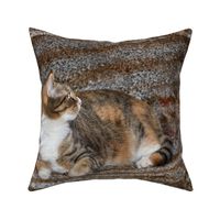 Custom Natasha for Pillows