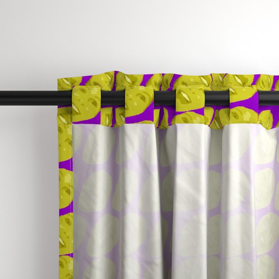 HOME_GOOD_CURTAIN_PANEL