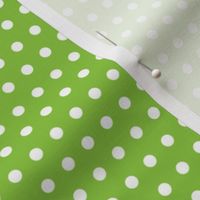 White Dots On Lime Green