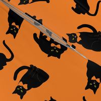 black cats on orange Halloween