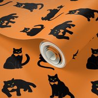 black cats on orange Halloween